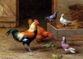 Poules Pigeons et une colombe ferme animaux Edgar Hunt